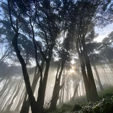 Magical, Award-winning Cosy Hobbit House Malveira da Serra